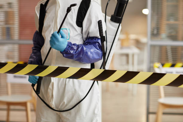 Professional Sewage Cleanup technician working in Mason, MI